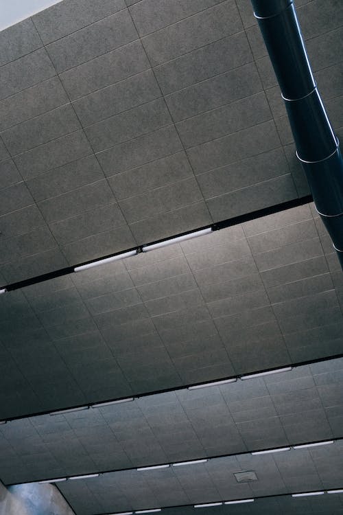 Reasons to Have Acoustic Ceiling Panels